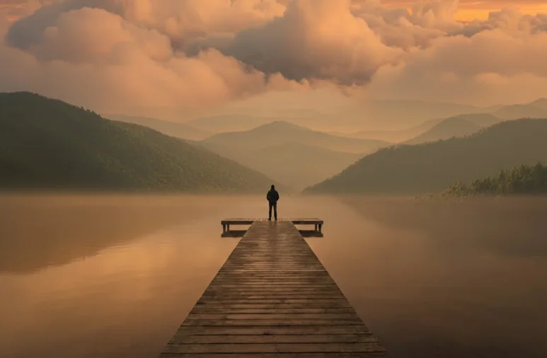 Organization Dashboard